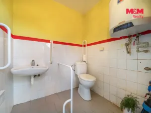 Prodej obchodního prostoru, Chudenín - Uhliště, 203 m2