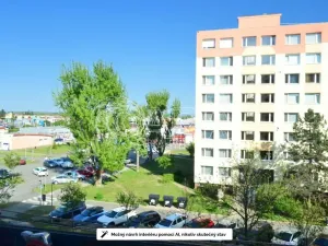Prodej bytu 2+kk, Mladá Boleslav - Mladá Boleslav II, 17. listopadu, 42 m2