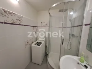 Pronájem bytu 1+1, Zlín, U Trojáku, 35 m2