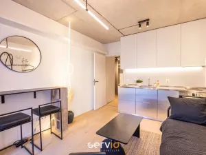 Pronájem bytu 1+kk, Brno, Bratislavská, 26 m2