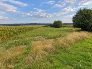 Prodej pozemku pro bydlení, Bílé Podolí - Zaříčany, 915 m2