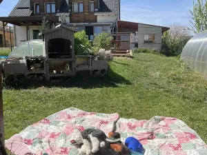 Prodej rodinného domu, Vysoký Újezd, V Hlinkách, 100 m2