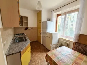 Pronájem bytu 1+1, Praha - Žižkov, Pod lipami, 34 m2