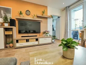 Prodej bytu 3+1, Hodonín, Jižní, 64 m2
