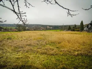 Prodej pozemku pro bydlení, Petrovice, 6626 m2