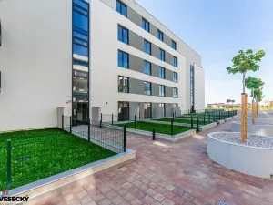 Prodej bytu 1+kk, Plzeň, Železná, 38 m2