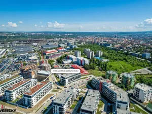 Prodej bytu 1+kk, Plzeň, Železná, 38 m2