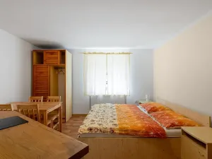 Prodej ubytování, Bartošovice v Orlických horách, 500 m2