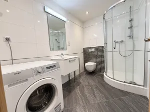 Pronájem bytu 1+kk, Praha - Žižkov, Olšanská, 37 m2
