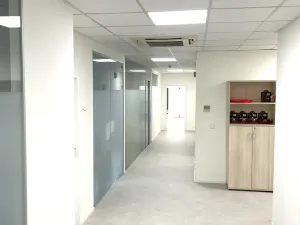 Pronájem kanceláře, Praha - Holešovice, Dělnická, 1252 m2
