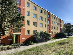 Prodej bytu 2+1, Litvínov - Horní Litvínov, Vinohradská, 55 m2