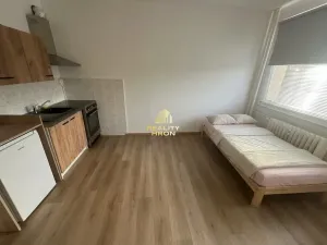 Prodej bytu 1+kk, Teplice, Bratislavská, 21 m2