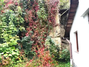 Prodej rodinného domu, Česká Třebová, Bezděkov, 56 m2