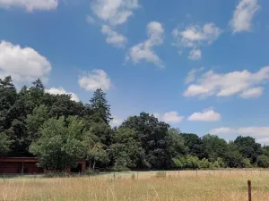 Prodej lesa, Doubek, 15479 m2