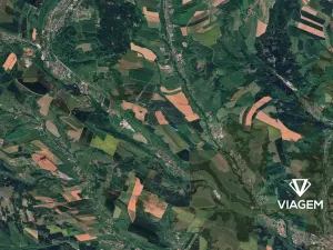 Prodej podílu lesa, Prosečné, 3067 m2