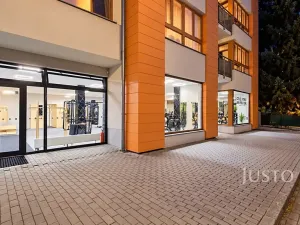 Prodej obchodního prostoru, Písek, V Portyči, 229 m2