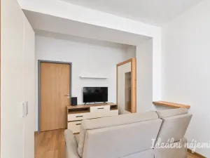 Pronájem bytu 2+1, Brno - Štýřice, Renneská třída, 54 m2