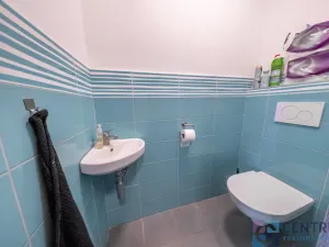 Prodej výrobních prostor, Veselá, 265 m2