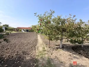 Prodej zahrady, Podivín, Nerudova, 401 m2