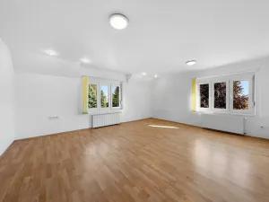Prodej rodinného domu, Horní Řepčice, 472 m2
