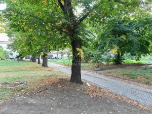 Pronájem bytu 2+kk, Praha - Nusle, Táborská, 56 m2