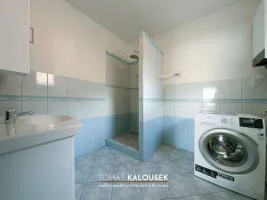 Prodej rodinného domu, Dolní Kounice, Ivančická, 55 m2