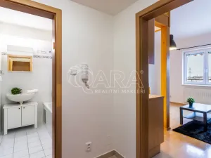 Pronájem bytu 1+kk, Dolní Břežany, Ke Kapličce, 30 m2