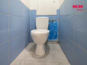 Prodej bytu 2+1, Chodov, 1. máje, 55 m2