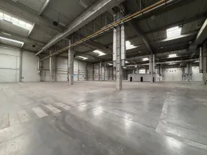 Pronájem skladu, Ostrava - Kunčičky, Lihovarská, 6000 m2