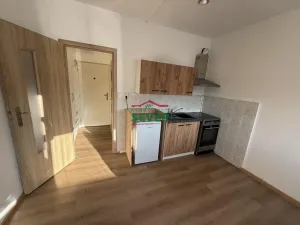 Prodej bytu 1+kk, Teplice - Řetenice, Bratislavská, 21 m2