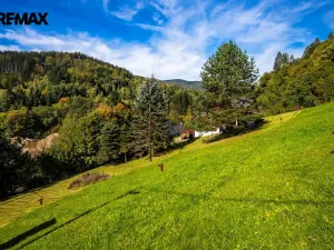Prodej chalupy, Rokytnice nad Jizerou - Dolní Rokytnice, 130 m2