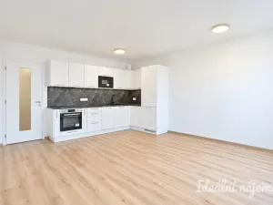 Pronájem bytu 1+kk, Brno - Horní Heršpice, Jižní, 42 m2