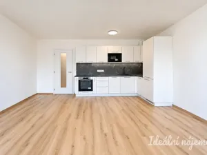 Pronájem bytu 1+kk, Brno - Horní Heršpice, Jižní, 42 m2