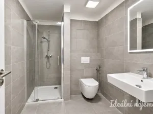 Pronájem bytu 1+kk, Brno - Horní Heršpice, Jižní, 42 m2
