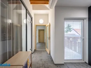 Prodej rodinného domu, Brno - Dolní Heršpice, Jižní náměstí, 340 m2