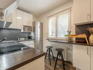 Prodej bytu 2+1, Praha - Žižkov, Pod lipami, 48 m2