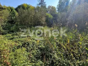 Prodej rybníku, Halenkovice, 2136 m2