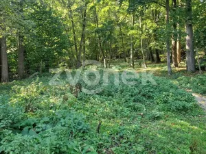 Prodej pozemku, Halenkovice, 3756 m2