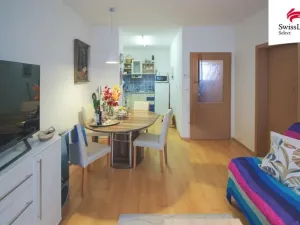 Prodej bytu 2+kk, Jihlava, F. X. Šaldy, 46 m2