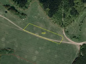 Dražba louky, Korytná, 7545 m2