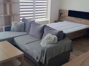 Pronájem bytu 1+kk, Plzeň, Pecháčkova, 42 m2