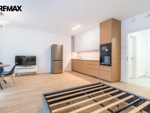 Pronájem bytu 1+kk, Praha - Žižkov, Kaplířova, 39 m2