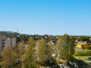 Pronájem bytu 1+kk, Planá, Bohušova, 31 m2