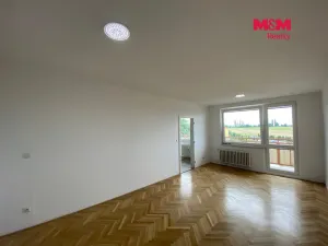 Pronájem bytu 1+1, Nový Jičín, Dlouhá, 44 m2