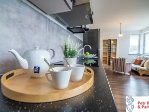 Pronájem bytu 2+kk, Rakovník, Nad Nemocnicí, 56 m2