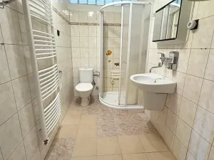 Prodej rodinného domu, Nová Včelnice, Nádražní ulice, 220 m2