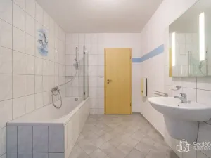Prodej chalupy, Oloví - Hory, 105 m2