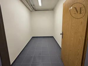 Pronájem bytu 3+kk, České Budějovice, Osiková, 97 m2