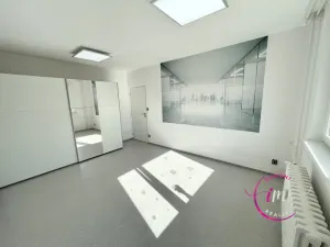 Pronájem bytu 3+1, Jihlava, Březinova, 72 m2