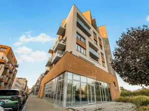 Prodej bytu 4+kk, Praha - Holešovice, V háji, 106 m2